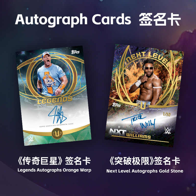2025 Topps WWE Universe Value  - Board Game Zoo ulasan dan harga