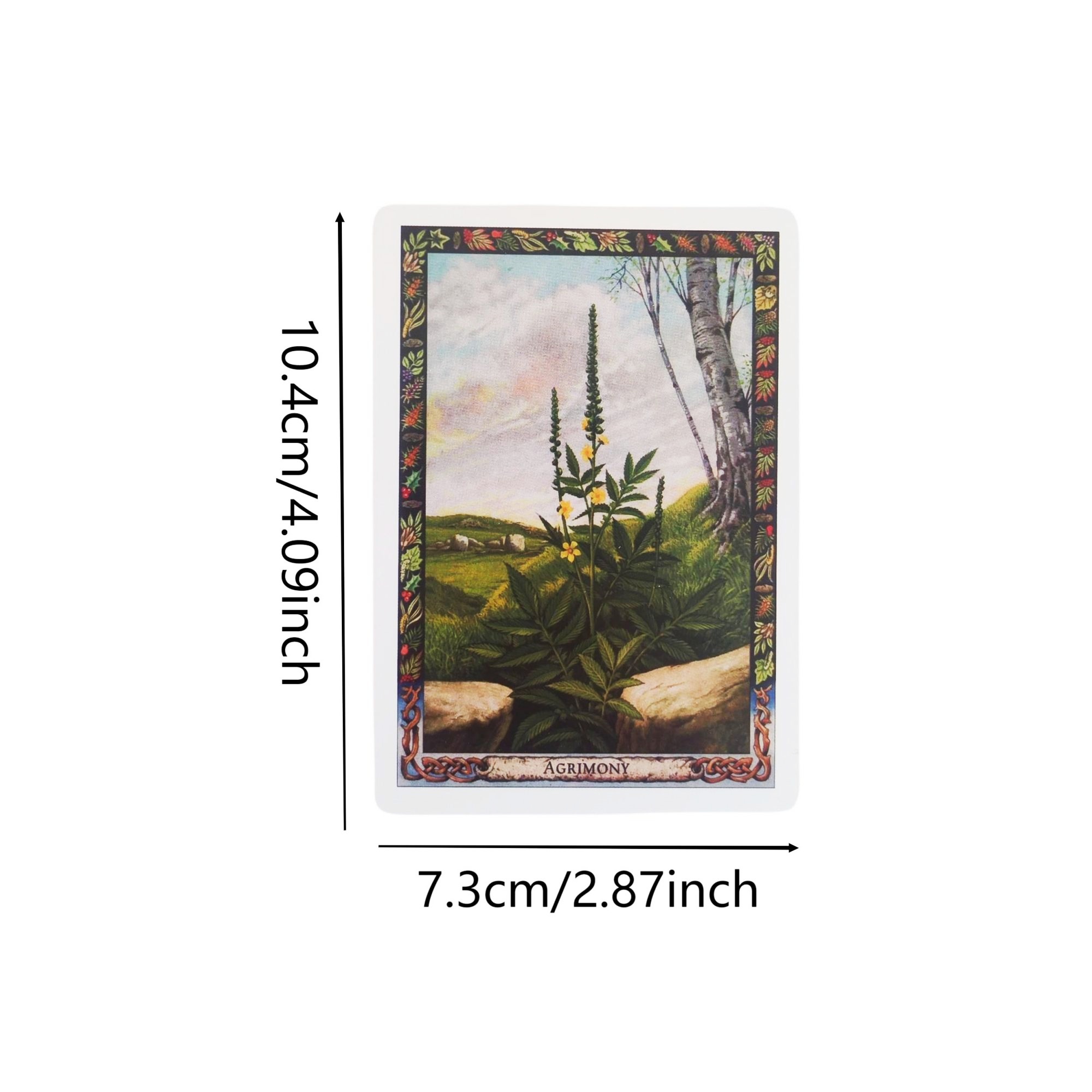 The Druid Plant Oracle 36 Card - Board Game Book ulasan dan harga